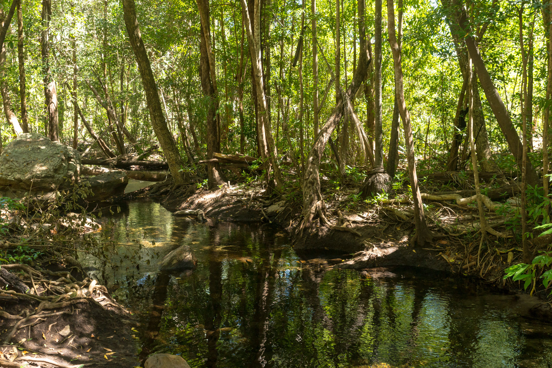 Kakadu National Park - Gubara Pools Walk